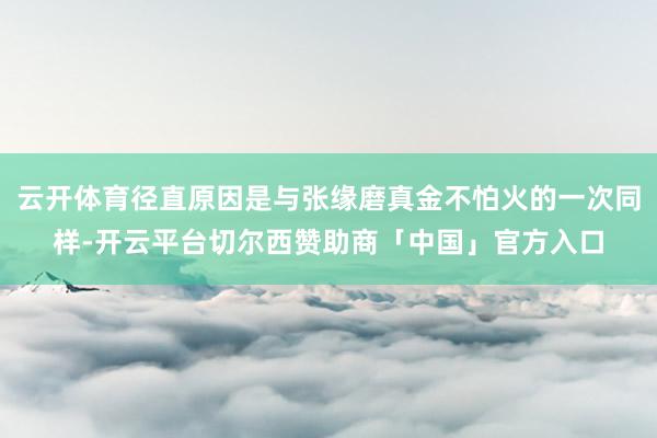 云开体育径直原因是与张缘磨真金不怕火的一次同样-开云平台切尔西赞助商「中国」官方入口